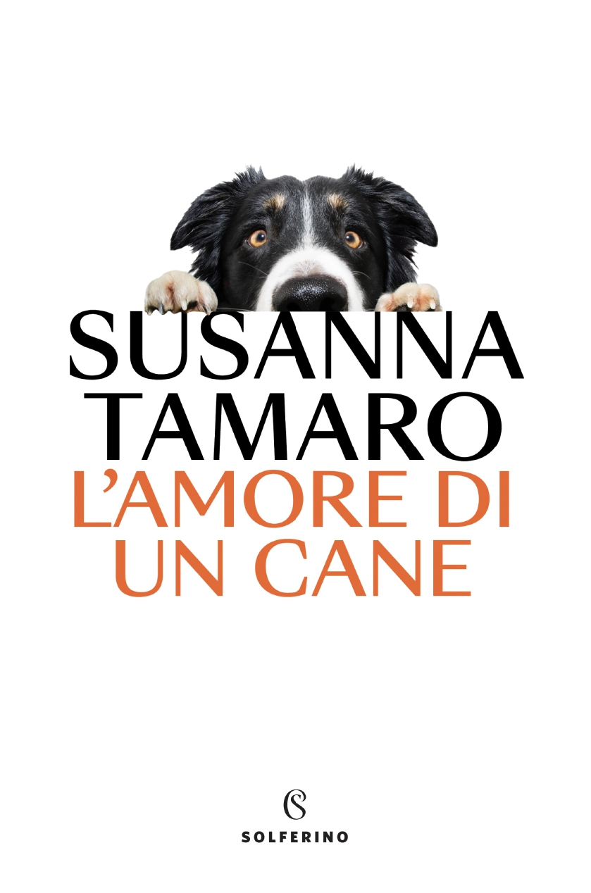 L’amore di un cane