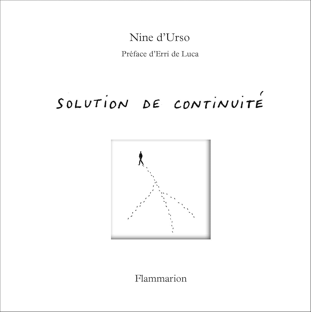 Solution de Continuité